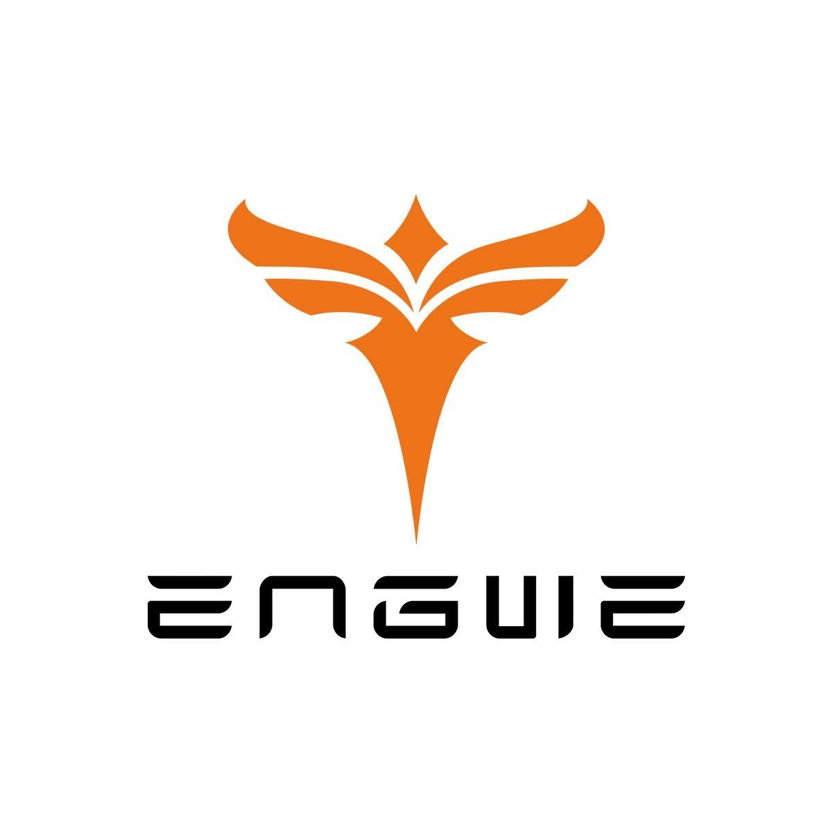Engwe US Coupons and Promo Code